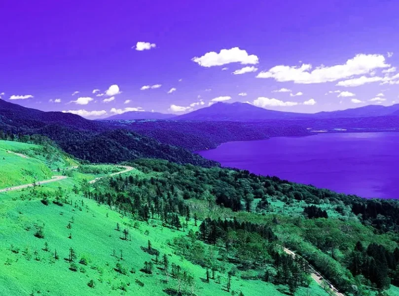 

Foxeer T-REX Micro / Mini 1500TVL Camera Super WDR 4:3 16:9 PAL/NTSC Switchable Full Weather FPV Camera for FPV Racing Freestyle