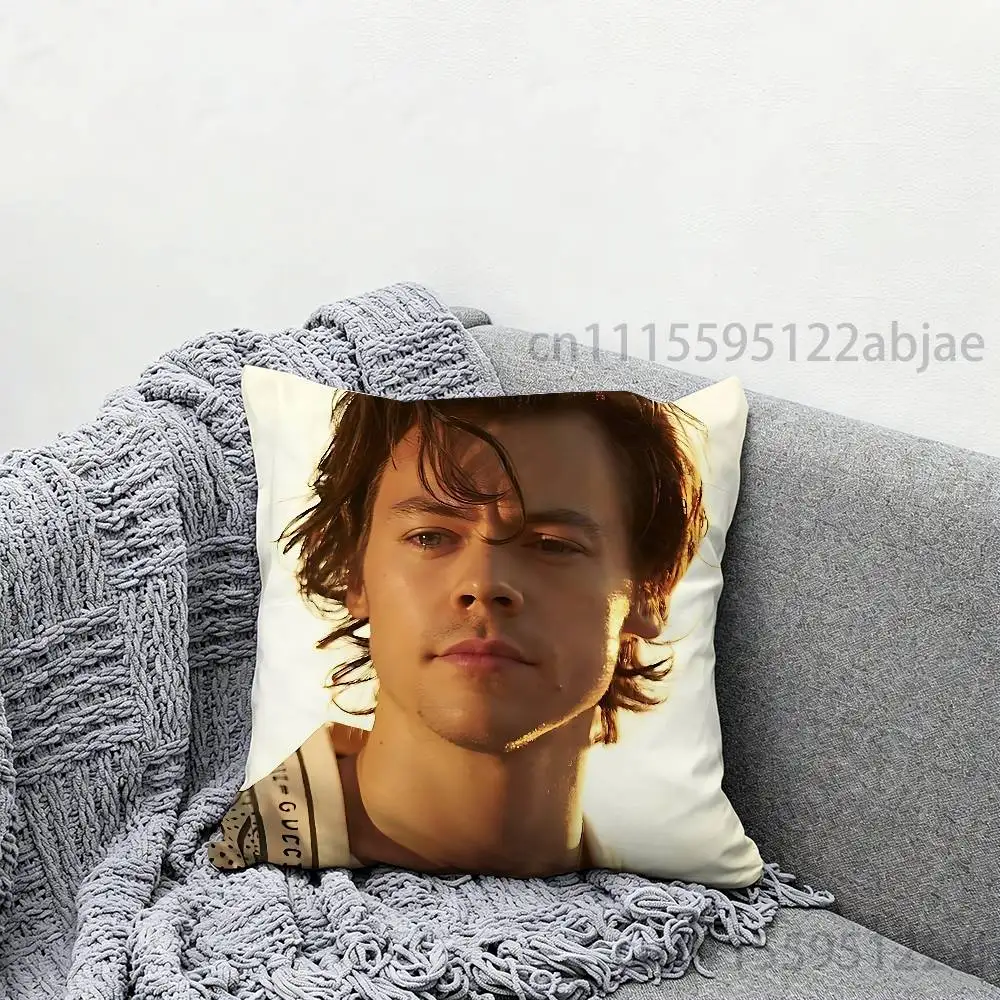 H-Harry Styles Anime Celebrity Merchandise All-Match Printed Pillow Case Sofa Car Office Room Decoration Protector