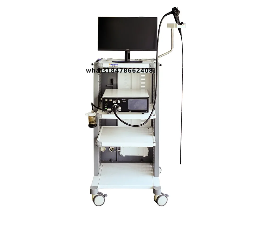 Professional Small Animal Medical Gastrointestinal Endoscopy Veterinary Kit