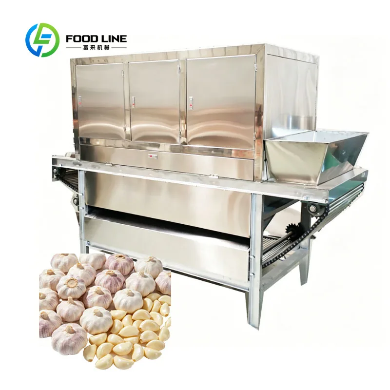 Root Vegetable Peeling Machine Chain Type Garlic Peeler Onion Peeler Customized Stainless Steel Industrial Use