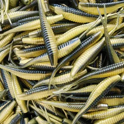 MUKUN 10PCS Mini Soft Fishing Lures 0.65g/1.8g Small Lifelike Forked Paddle Tail Fishing Swimbaits for Freshwater Tackle