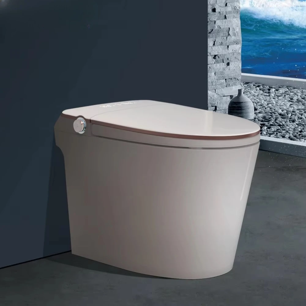 

Latest Hot Selling Instant Heating Smart Toilet