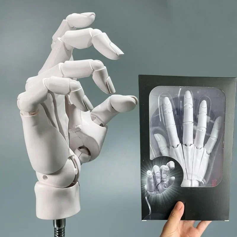 Real Hand Joint Finger Figure Movable Body Statue Simulation Hand Draw Sketch Art Painting Figurine Sculpture Decoration