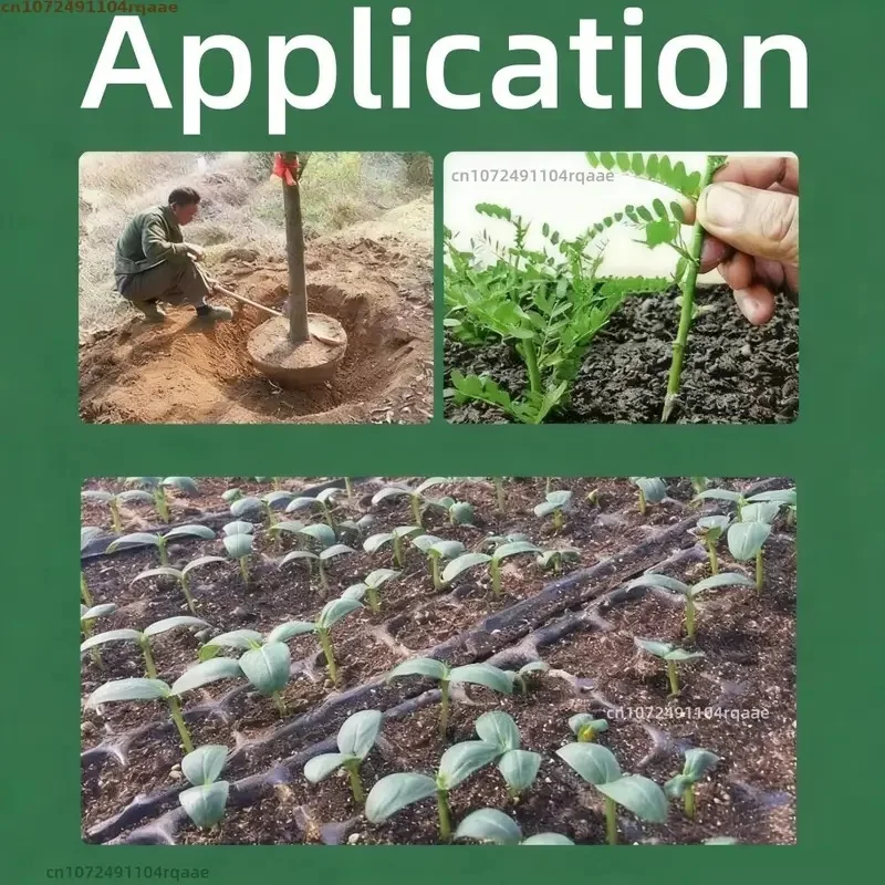 98% IBA-K Potassium Indole Butyrate Powder Plant Growth Regulator Rooting Hormone for Plant Cutting Transplant Rooting Promoter