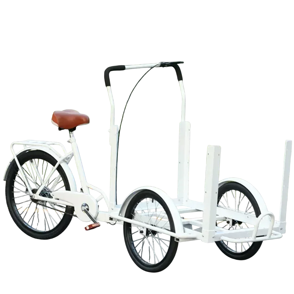 

Specializing in the production of 3-wheel adult bicycles, bicycles, dining cars, reversing snack cars