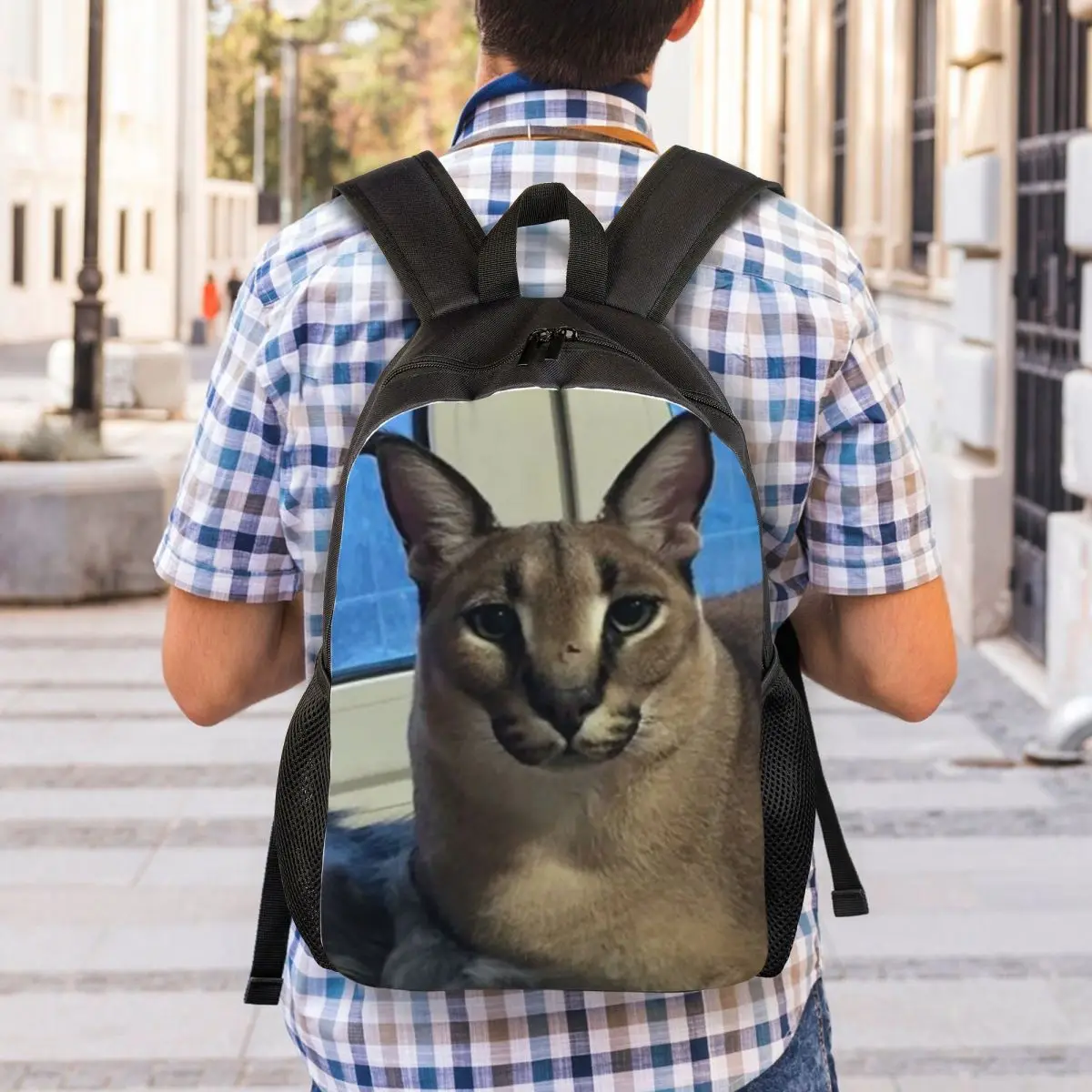 Mochila de viaje grande y divertida para hombre y mujer, bolsa para ordenador portátil, Caracal Cat, morral para Estudiante Universitario