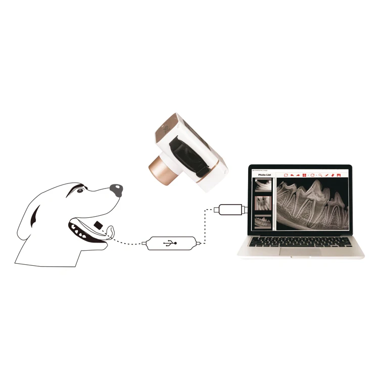 Portable High Frequency Digital X-Ray Machine for Veterinary Use Radiograph System Pet Dental Care Electric Equipment XXZF