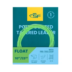 SF 1PCS/2PCS 10FT  Fly Fishing Poly-Coated Leaders Monofilament Core Leader Line Fly Line for 10' Salmon Leader