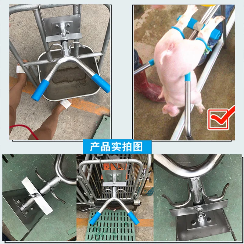Positioning Bar Pig Castration Rack Double Hook Desig Piglet Castration Tool Farm Small Animal Livestock Castrator Equipment