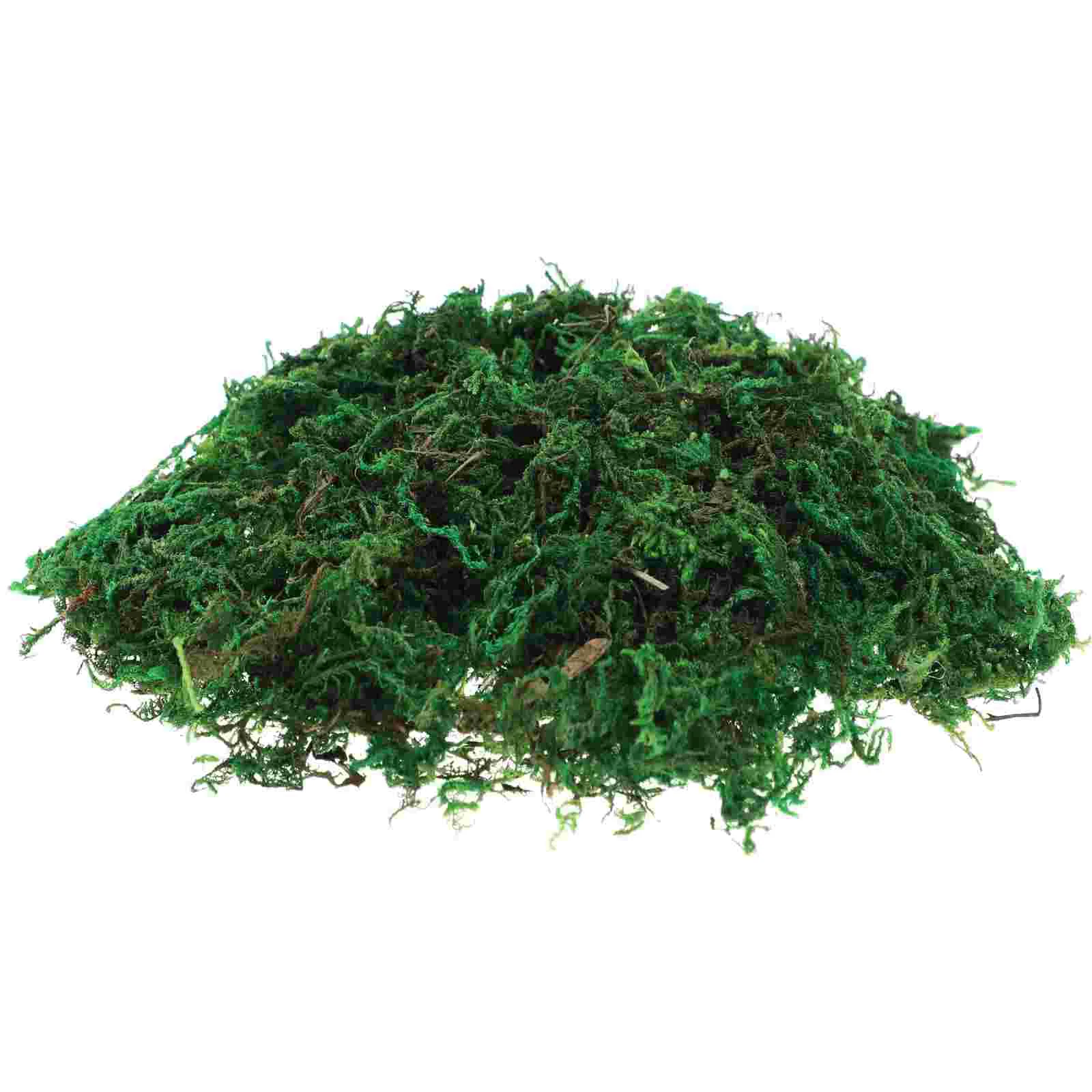 1 Pack Aftificial Green Moss DIY Flower Crafts Fake Moss Preserved Dried Moss for Potted Plants (About 20G)