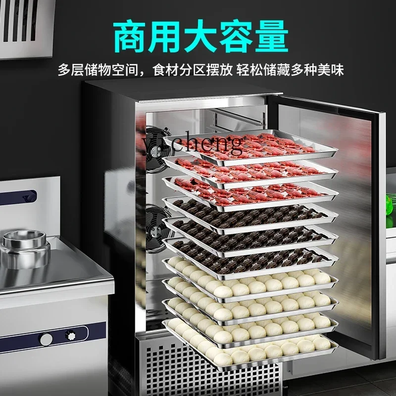 ZK  Commercial freezer Frozen buns Sea cucumber Seafood Low temperature refrigerator Quick-freezing machine Plug-in cabinet