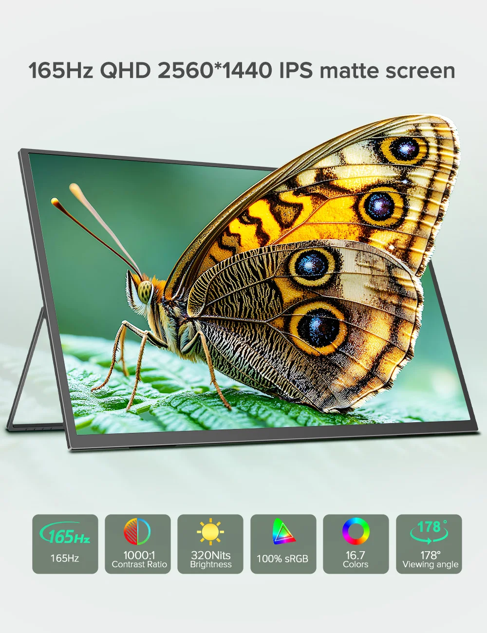 Thumbnail 2 - #3 Monitors Price Drop Alerts