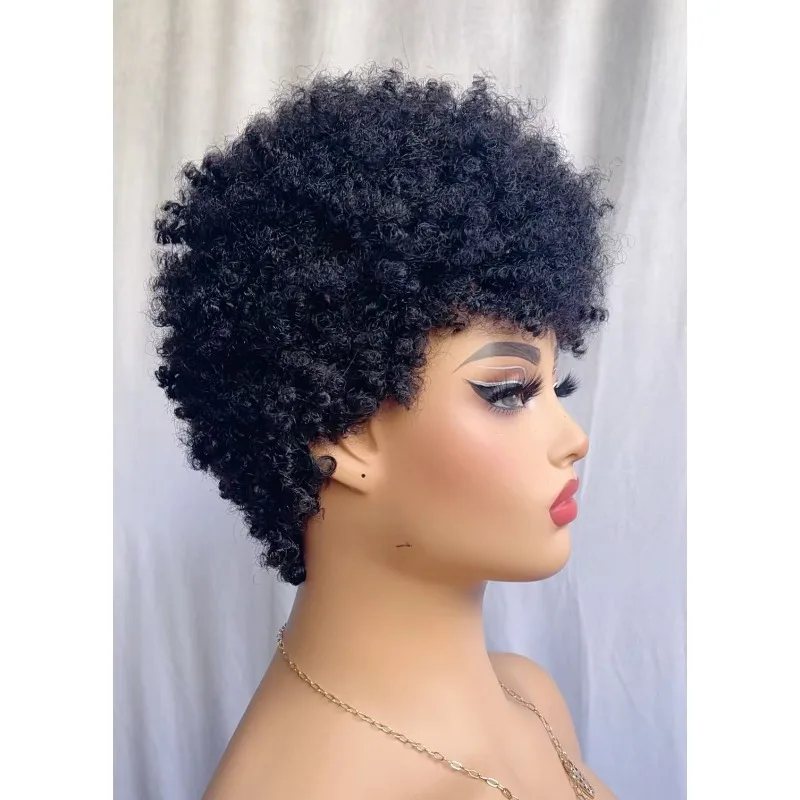 8 Zoll Afro Kinky Curly Echthaar Perücke mit Raupenlocken für Schwarze Frauen, 180% Dichte, Brasilianisches Remy-Haar, Vollmaschinenperücke – Detail 5