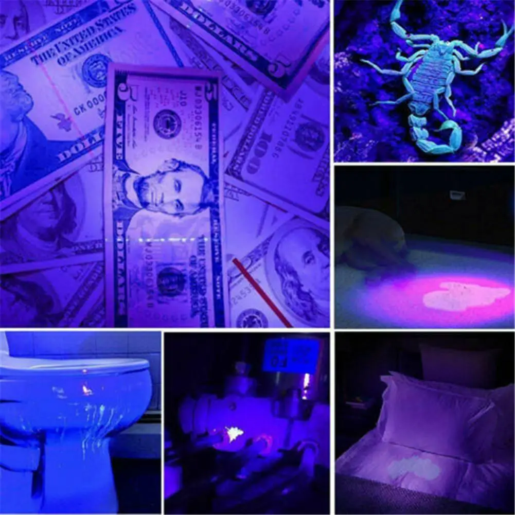 LED UV Flashlight Ultraviolet Torch Magnified Ultraviolet Beam Animal Urine Stains Testing Purple Light Lamp