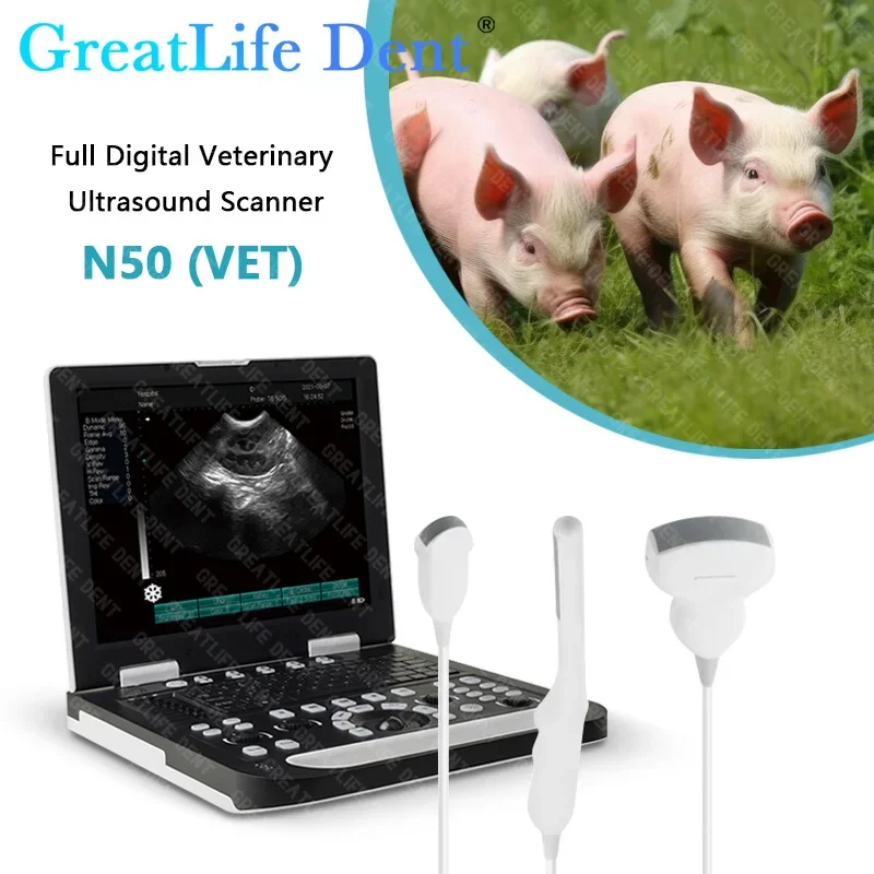 

Greatlife Dent 15-дюймовый ветеринарный человеческий портативный медицинский эхо ноутбук USG выпуклая матрица зонд ЖК-дисплей B/W B ультразвуковой сканер машина