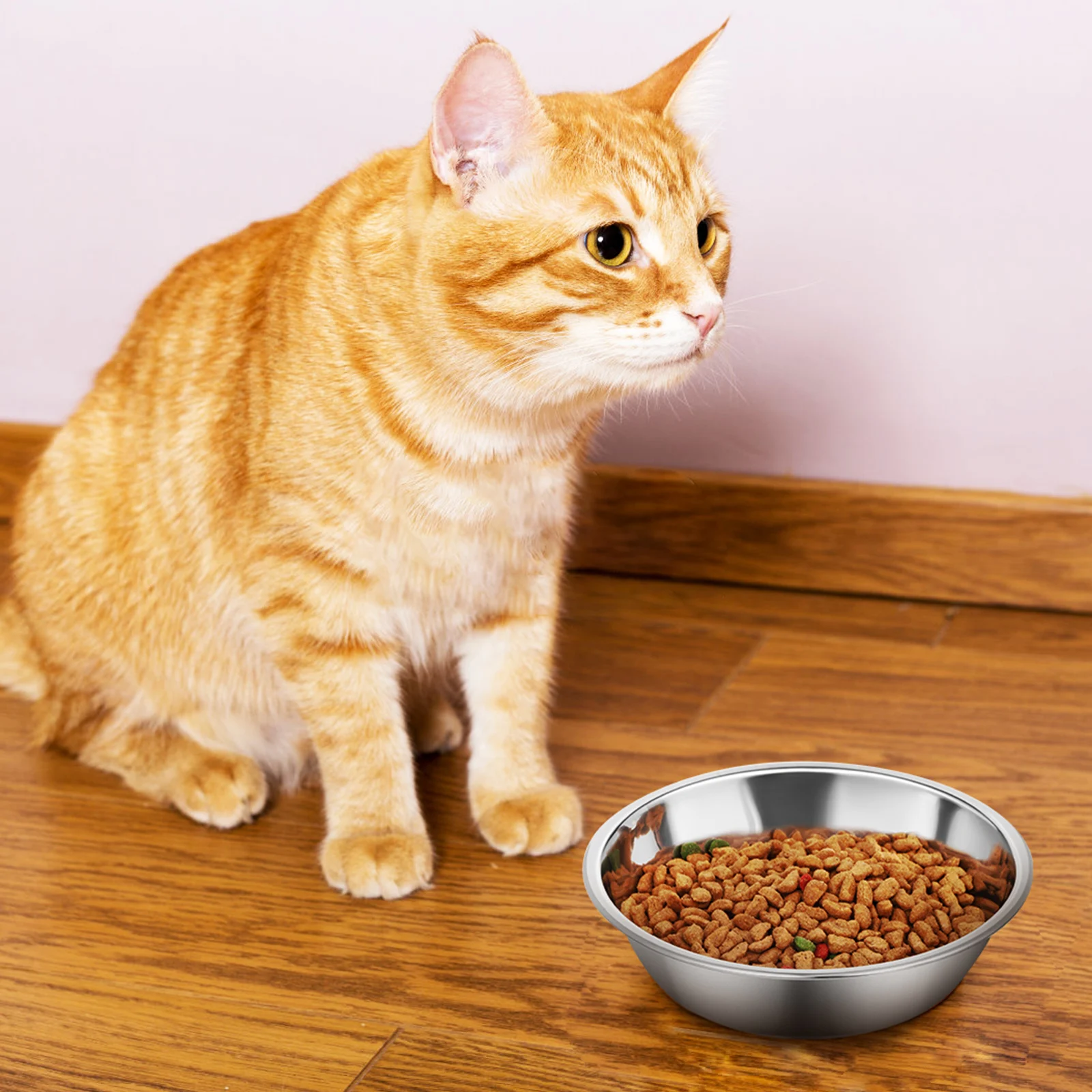 

3 Pcs Stainless Steel Cat Bowl Pet Water Bowl Dry Food Dog Feeder Indoor Cats Large Opening Portable Easy Cleanup Durable