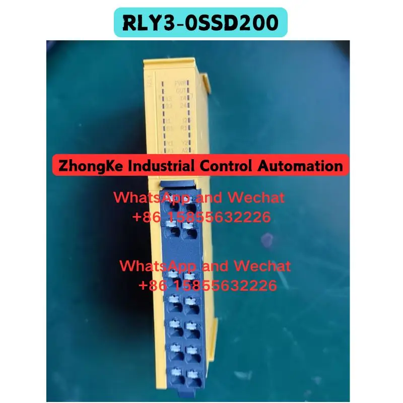 Brand New Original imported RLY3-0SSD200 safety relay Fast Shipping