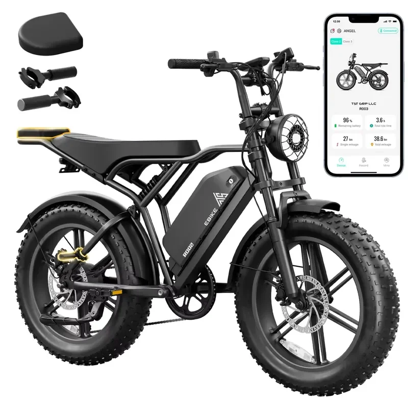 2026 OEM Factory Price R002 20" Tire E Bike 48V 15A Battery Off-Road Bicycle 750W 1200W Motor Power Mountain E Bike view 2