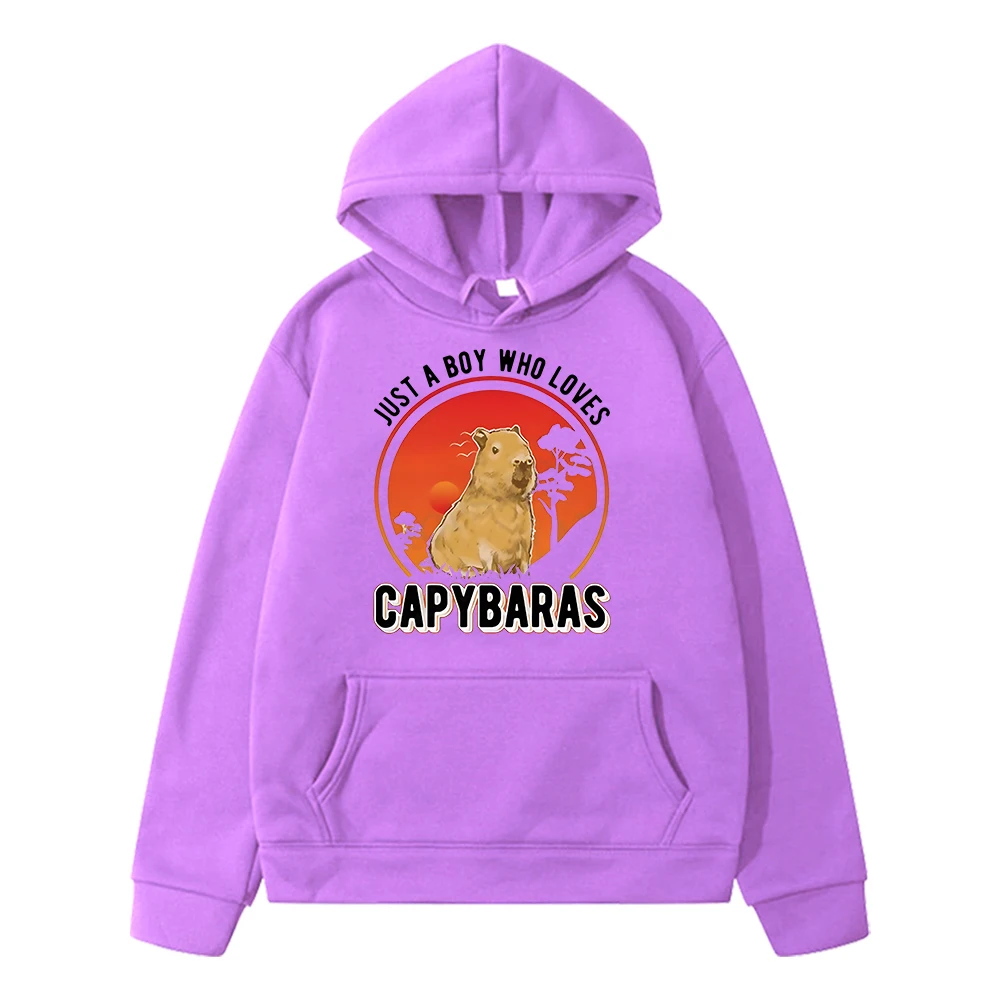 Capybara kids Hoodies Cartoon sweatshirts anime hoodie girls boys clothes y2k sudadera Autumn Fleece pullover Children clothing