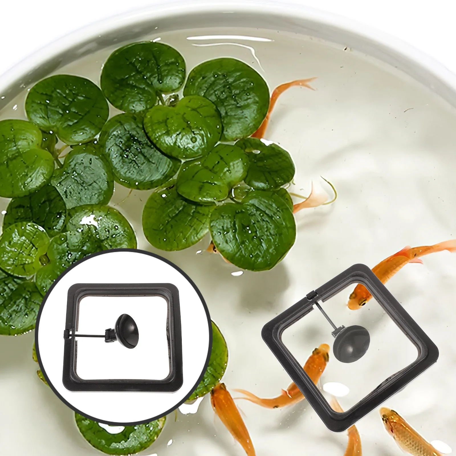 

Fish Square Black Aquarium Feeder Ring For Floating Food Control Tank Feeding Tool Floating Food Circle Pet Feeding