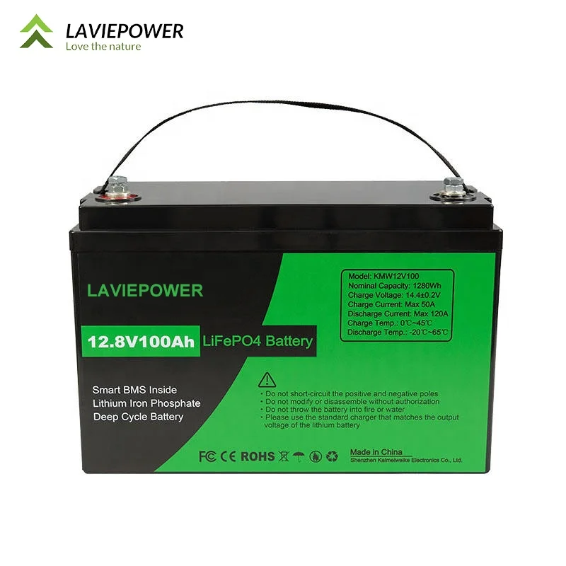 IP65 Built-in Bluetooth Rechargeable Lithium Battery 12V DC Portable Battery Pack 12V 100Ah LiFePO4 Lithium Iron Battery