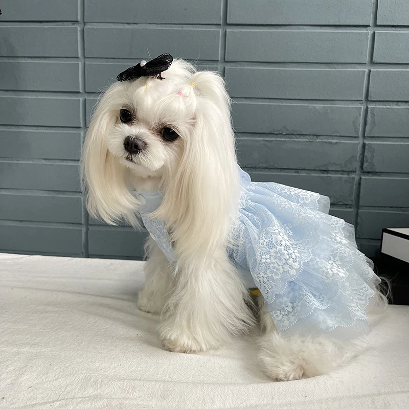 Imagem -05 - Vestido Suspensor Artesanal de Renda para Pet Flor Verde Fada Gato e Cachorro Roupas de Bolo Peluche Bichon Pomeranian Saia de Casamento