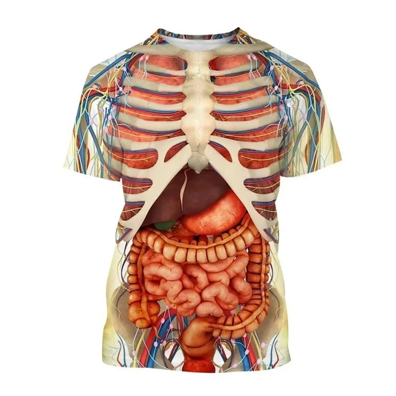 

Organs Bones Pattern Футболки с 3D принтом Летние мужские и женские модные футболки с короткими рукавами Футболки большого размера Топы в стиле Харадзюку Мужская одежда