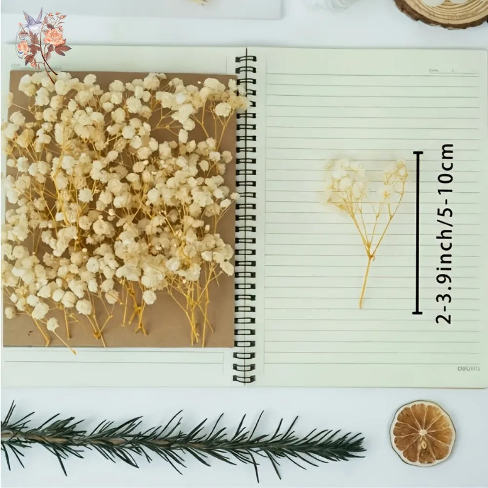 100pcs Mini Baby's Breath ดอกไม้สําหรับเรซิ่นหัตถกรรม DIY ตกแต่งบ้าน real touch Gypsophila ขนาดเล็ก Bundle ประดับของขวัญ
