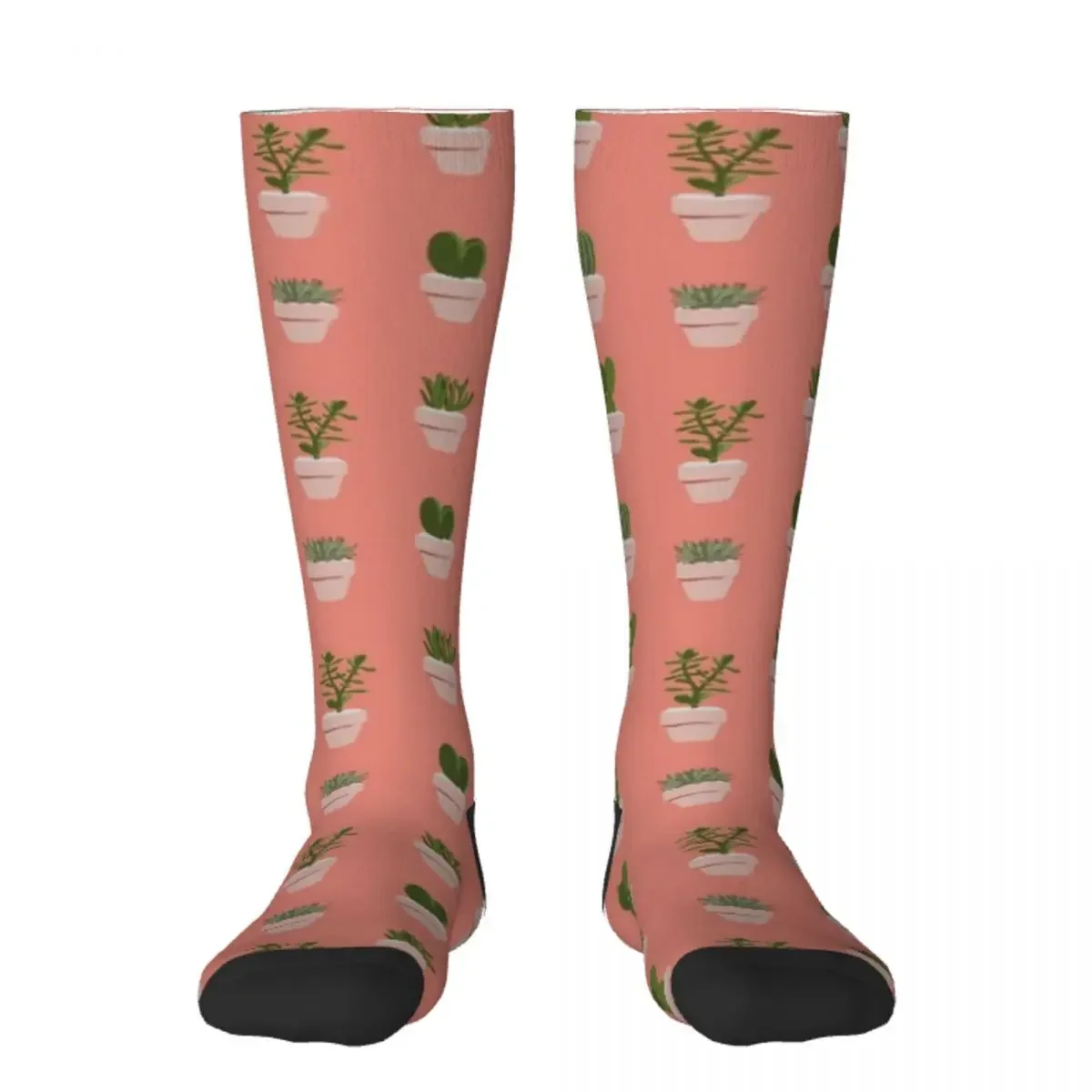 

Cacti & Succulent Socks cool football Socks Ladies Men's