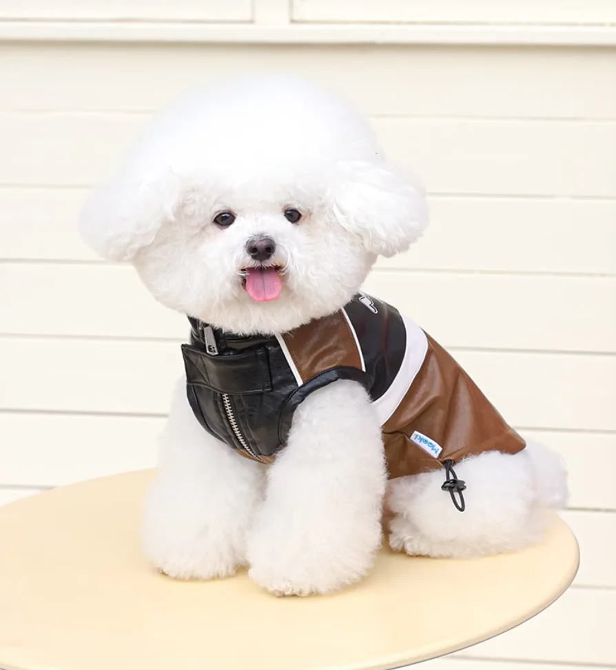 Warm Windproof Monochromatic Dog Coat, Cotton Designer Clothes for Large Dogs, Puppy Accessories, Winter