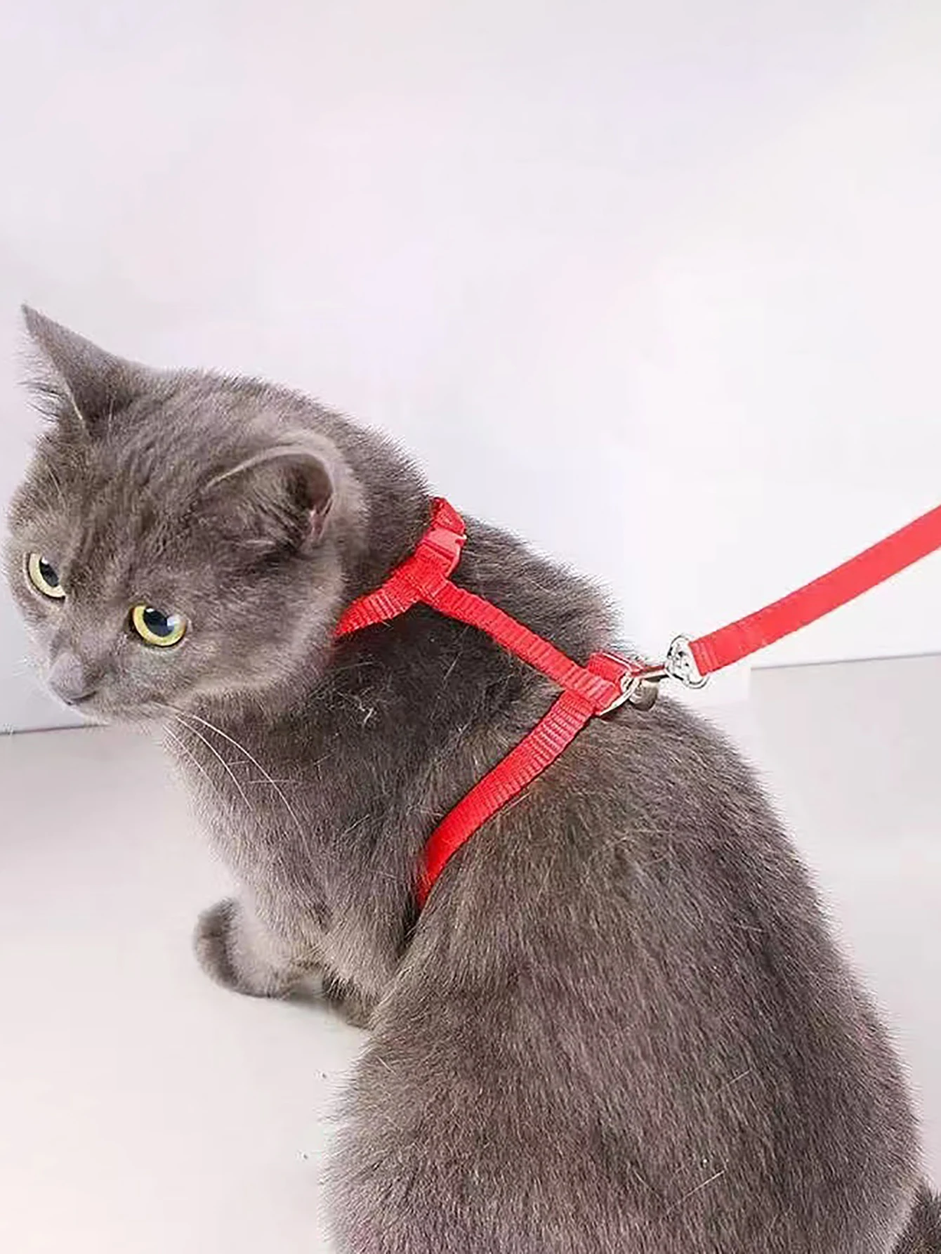 A cat rope cat rope i-line walking cat chain chest strap cat rope pet supplies