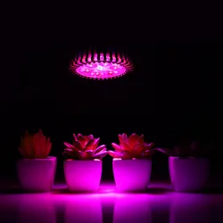 Par Full Spectrum Lens Plant Lamp Replacement Bulb, Greenhouse Flowering and Fruiting Growth Lamp, Bulb Accessories, E27, 21W