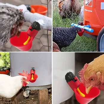 5/10/15 पीस चिकन बटेर हैंगिंग वाटर कप निप्पल ड्रिंकिंग बाउल बर्ड वाटर बाउल ड्रिंकर कप पिछवाड़े के लिए स्वचालित पोल्ट्री 10 best sales चिकन पीने वाला - №3