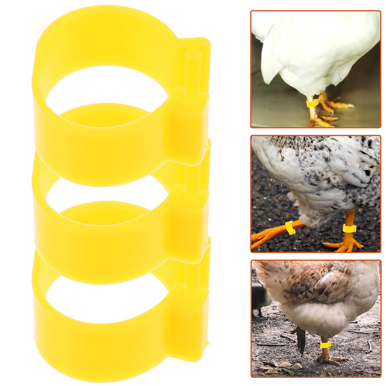 100 Stück Hühnerbeinbänder, leicht, langlebig, verstellbare Beinringe zur Identifizierung von Geflügeln, Gamefowl Chick Supplies