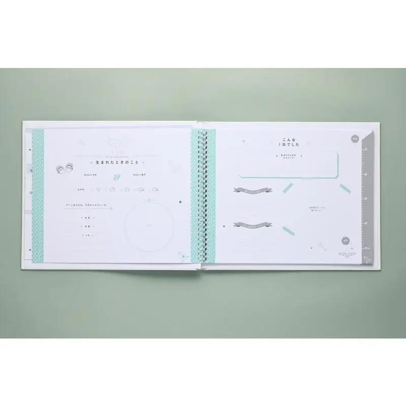 It Can Also Be A Photo Frame The Twelve Month Baby Diary Larousse Rime Shibata Graphics Company 9784766135916 Book
