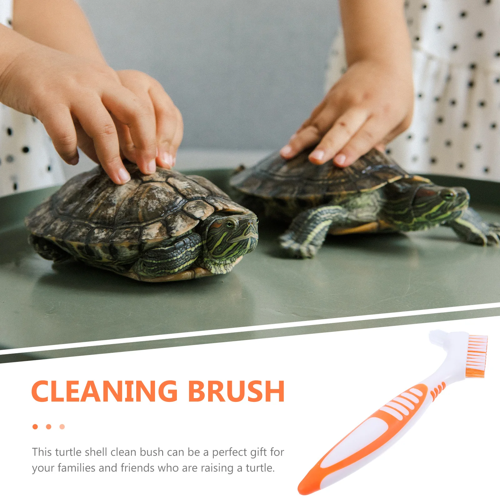 Turtle Shell Cleaning Brush Double-Sided Mini Portable Multi-Functional Aquatic Tortoise Mud Remover Tool For Pet Care Household