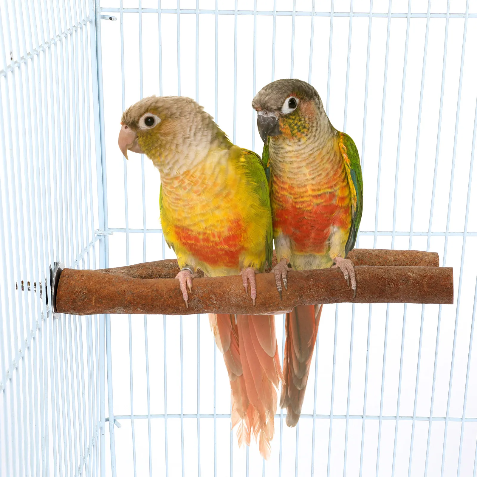 7Pcs Natural Wood Branch Perches Stands for Birds Parrot Perch Stand Wooden Perch Platform Bird Cage Accessories for Small