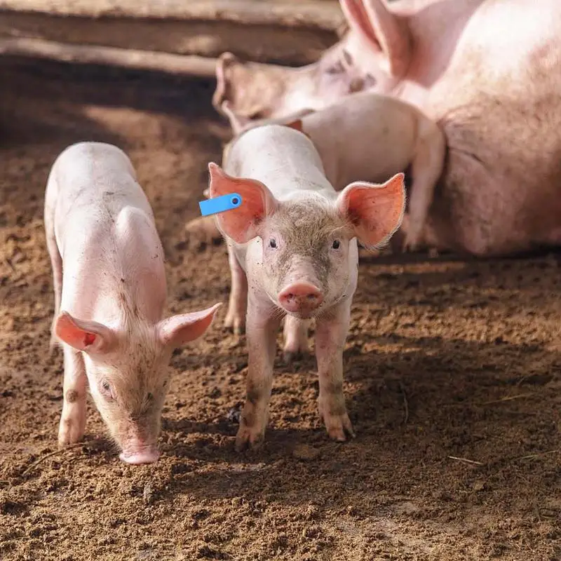 Livestock Ear Tags 100PCS Ear Tags With Numbers Livestock Tagging Tool Wear-Resistant Animal Identification Tags Cow Ear Tags