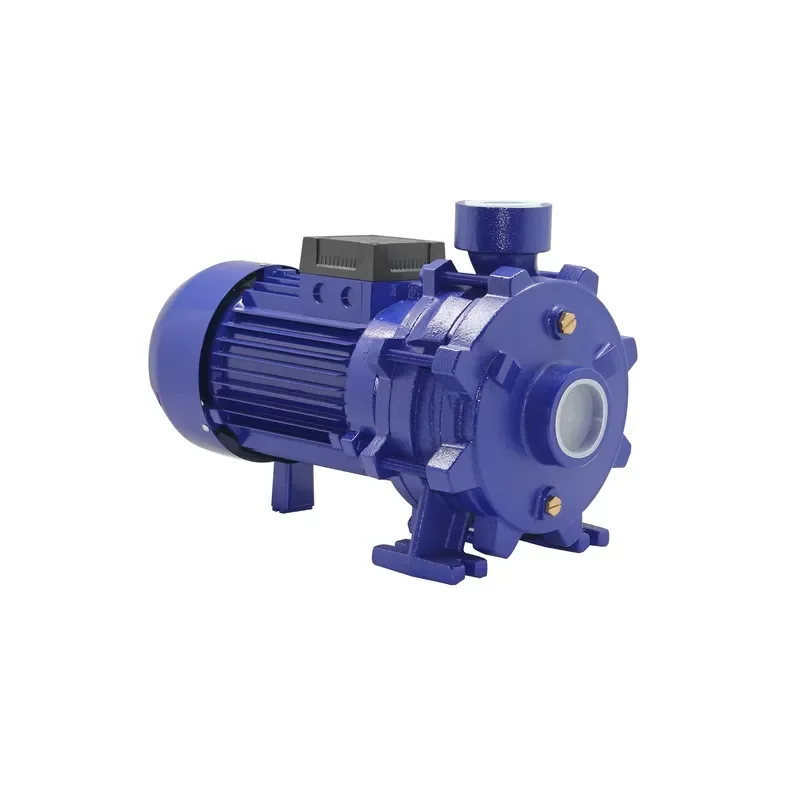2JCP50/300 Series 3HP Multi-Stage Brass Impeller High Pressure Centrifugal Pump for Family Homes with OEM Customization