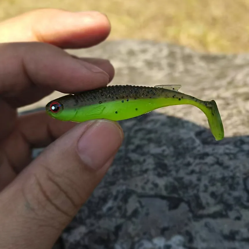 MUKUN 6PCS Neue Weiche Köder 6,5 CM 2,7G Swimbait für Hecht Zander Snook Barsch Angeln Lockt mit 3D AUGEN JIG Kopf Rig Weicher Köder