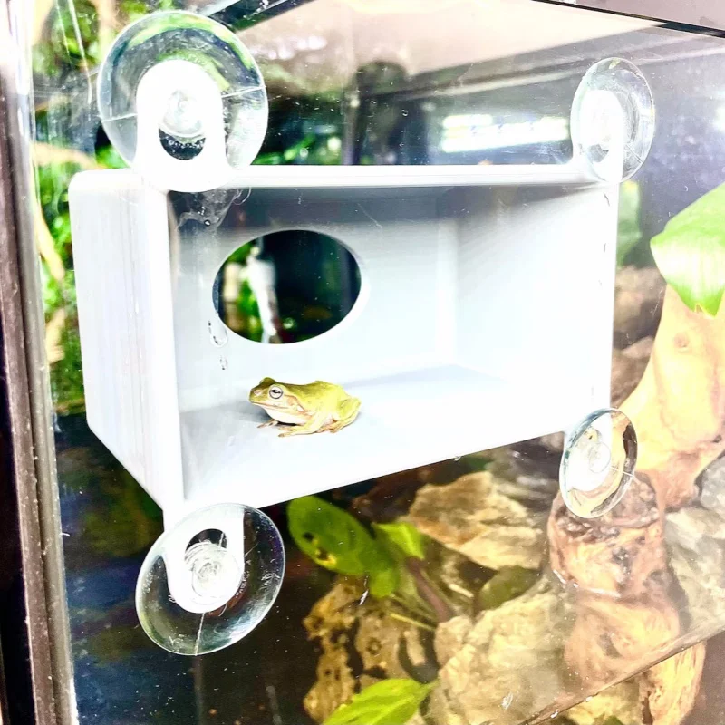 Amphibian/reptile rectangular hiding place glass box decoration