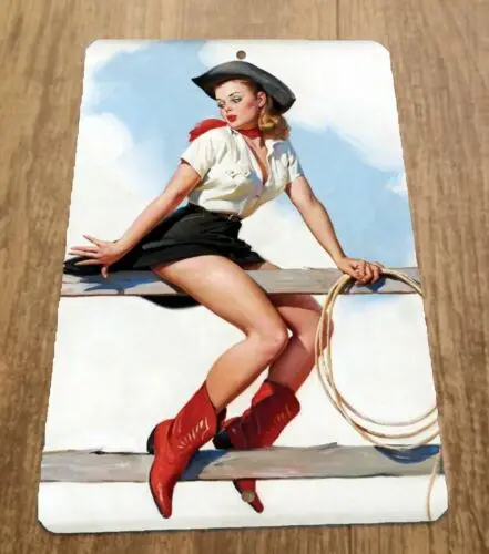 Cowgirl Sitting on Fence with Lasso Art 8x12 Metal Wall Vintage Misc Poster Sign