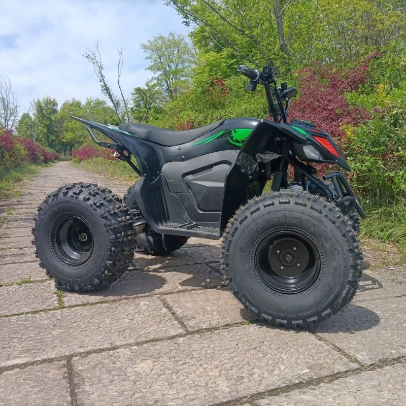 ATV Beach Bike in War Eagle Dirt Bike Mountain Terrain Off-road Motorcycle Adult Electric Recreational Motorcycle