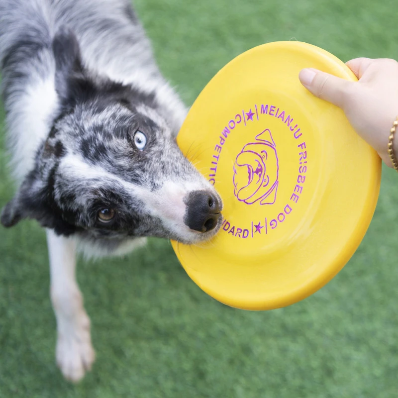 Dog Toy Specialized Training Flying Discs Interactive Soft Bite Resistant Fly Saucer Toy Plate For Small Large Dog Play Chew Toy