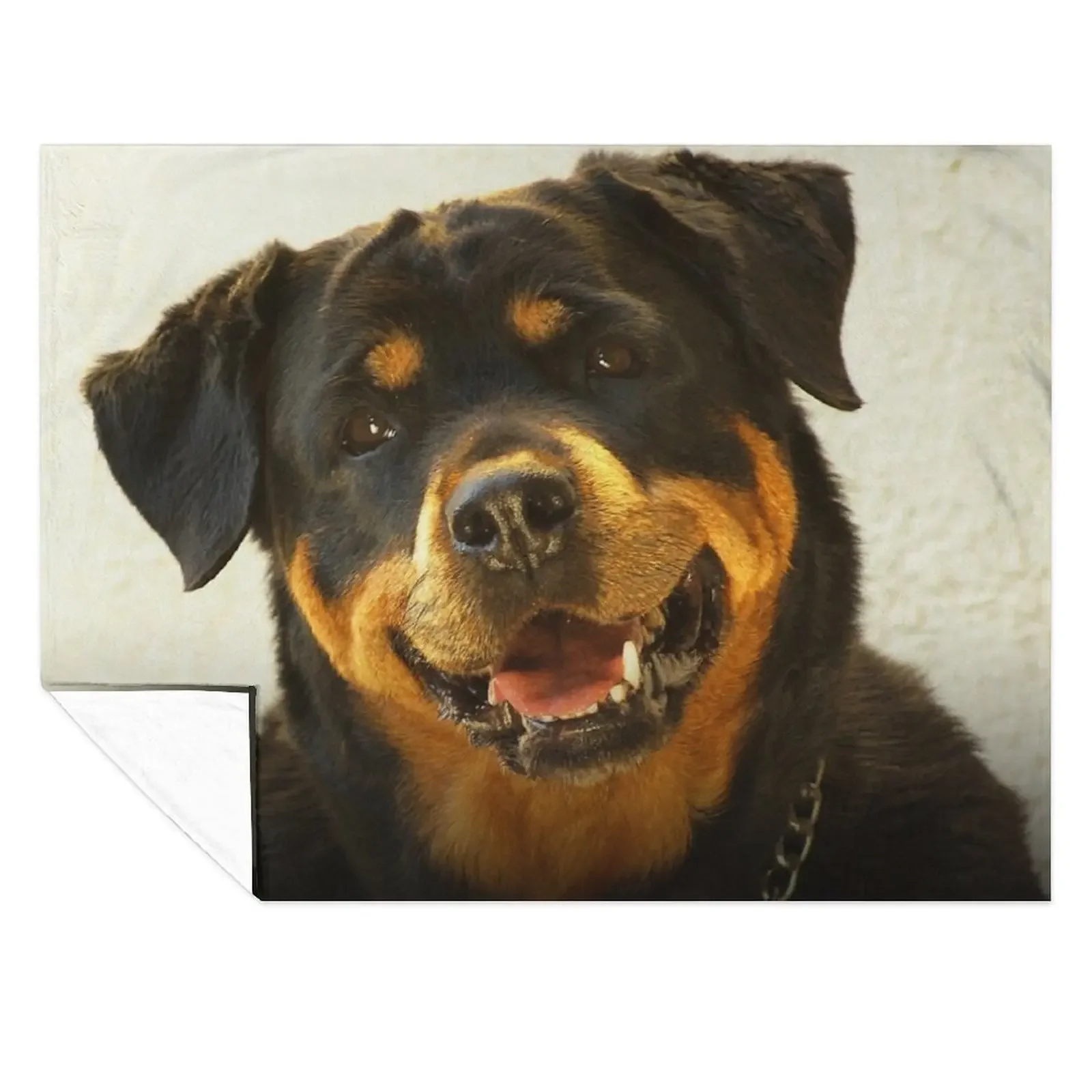 

Rottweiler Throw Blanket bed plaid Kid'S Decorative Sofas Decorative Sofa Blankets