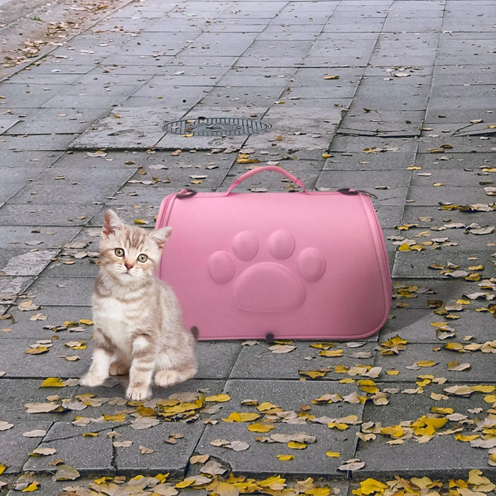 Portable Cat Carrier Bag, with Ventilation Holes Wear Resistant Case Pouch,