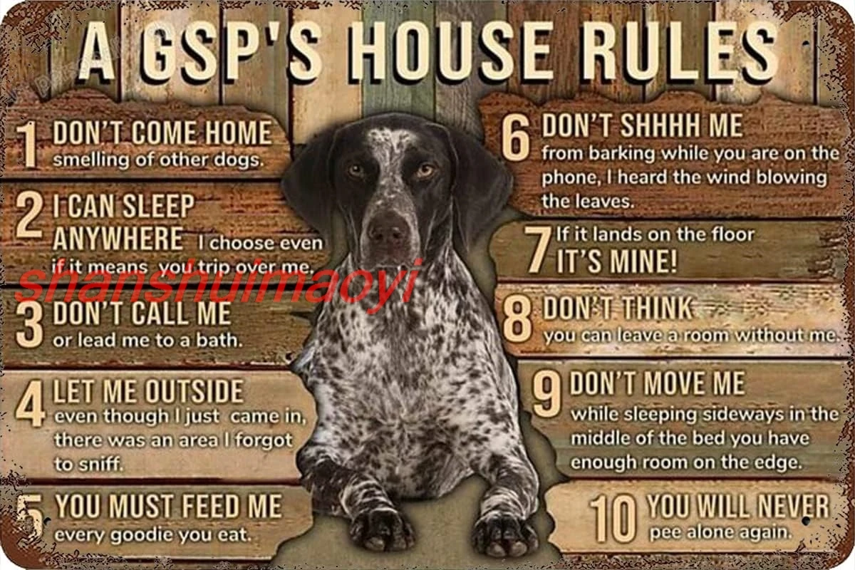 shan Shorthaired Dog Poster Metal Tin Sign A Gsp's House Rules Aluminum Metal Home Poster Plaque Home Club Store Bar Cafe 1pc