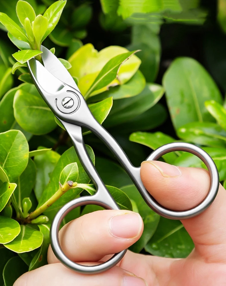 Stainless Steel Pointed Pruning Shears, Small Bonsai Trimming Scissors, Leaf Defoliator Snips for Indoor Plants Garden Tool