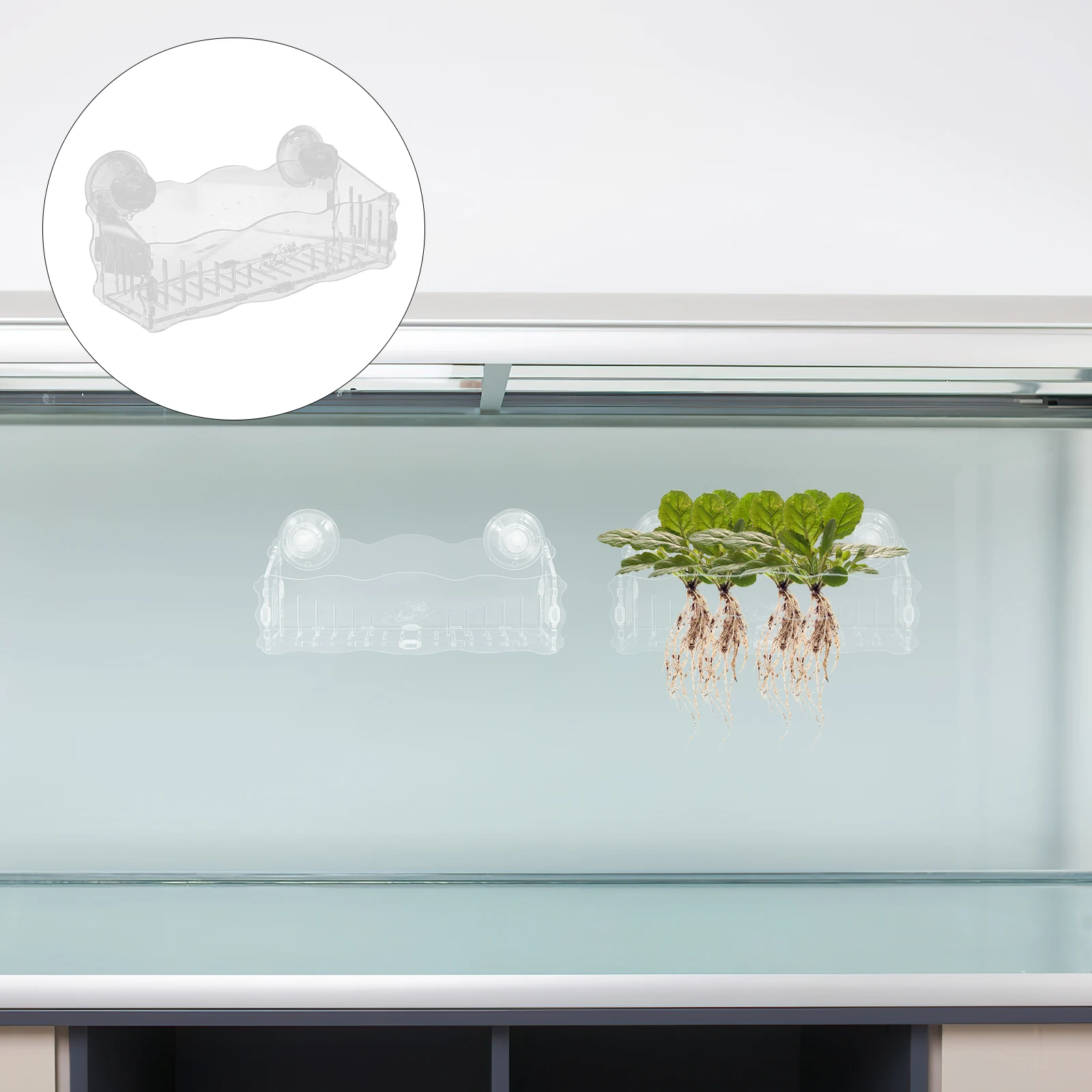

Wall-mounted Plant Fixing Rack Aquatic Planter Hanging Pot Decorate for Fish Tank Plastic Suction Cup Aquarium