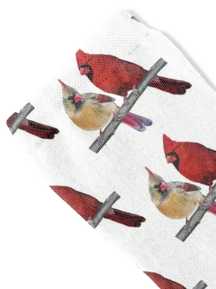 Northern Cardinals Pair painting (no background) Socks valentine gift ideas funny gifts cotton Wholesale Socks Ladies Men's